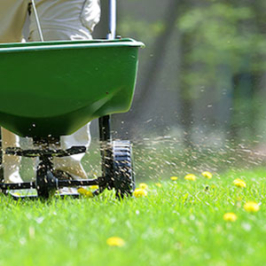 Fertilizing Services